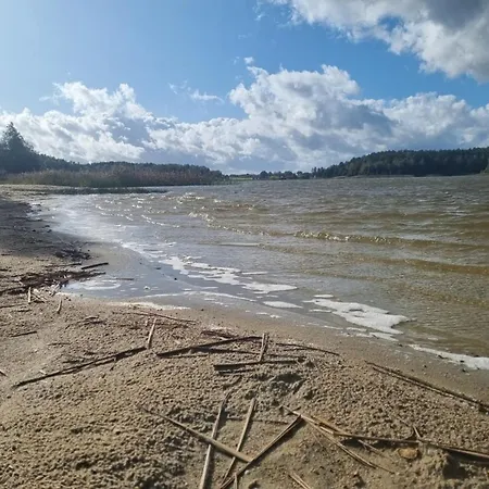Uszatka Kamień